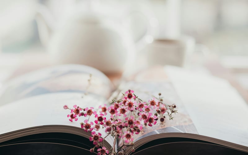 Woman reading magazine in cozy home — Heaven Held digital magazine